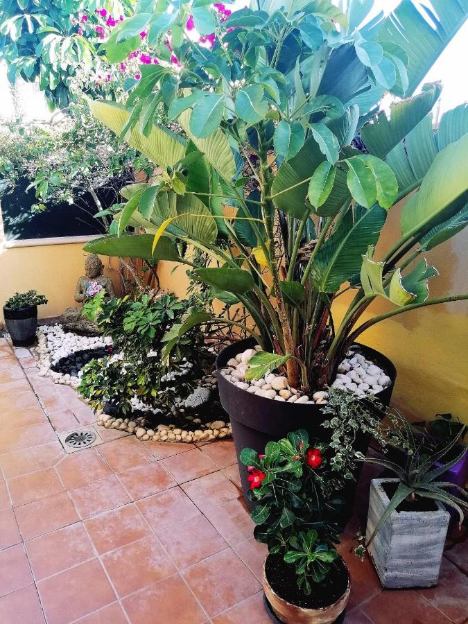 Vivienda Vacacional Vaiana Las Rosas  Exterior foto